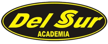 Academia Del Sur