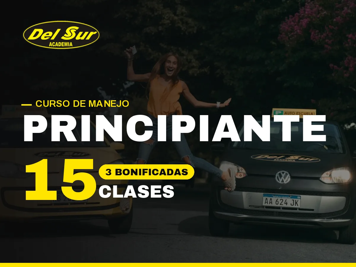 Curso de manejo Principiante en Mar del Plata